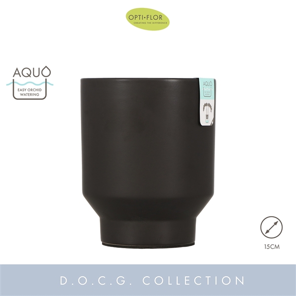 <h4>Emilia Dark Brown 15 cm Aquo</h4>