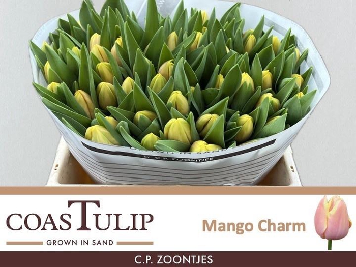<h4>Tu En Mango Charm</h4>