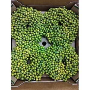 SIERFRUIT KRANS H%