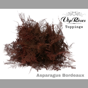 ASP OV EXTRA VEREN BORDEAUX