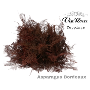 Asp Ov Extra Veren Bordeaux