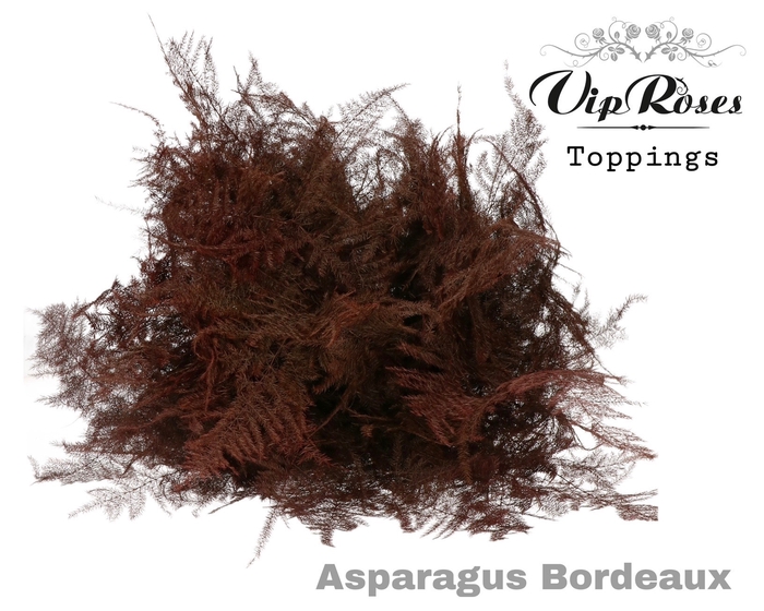 <h4>ASP OV EXTRA VEREN BORDEAUX</h4>
