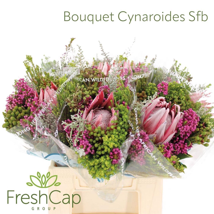 <h4>BOUQUET CYNAROIDES SFB</h4>