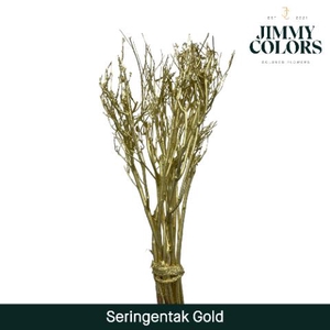 Seringen Tak L65 Goud