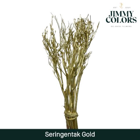 <h4>Seringen Tak L65 Goud</h4>