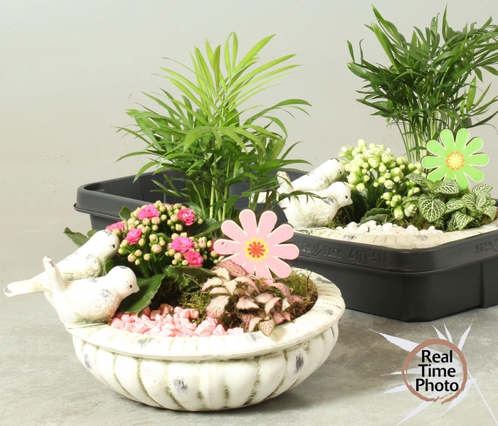 <h4>ARR KAMERPL</h4>