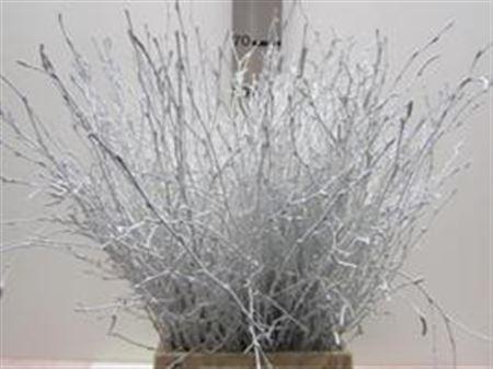 <h4>BERK WIT L60</h4>