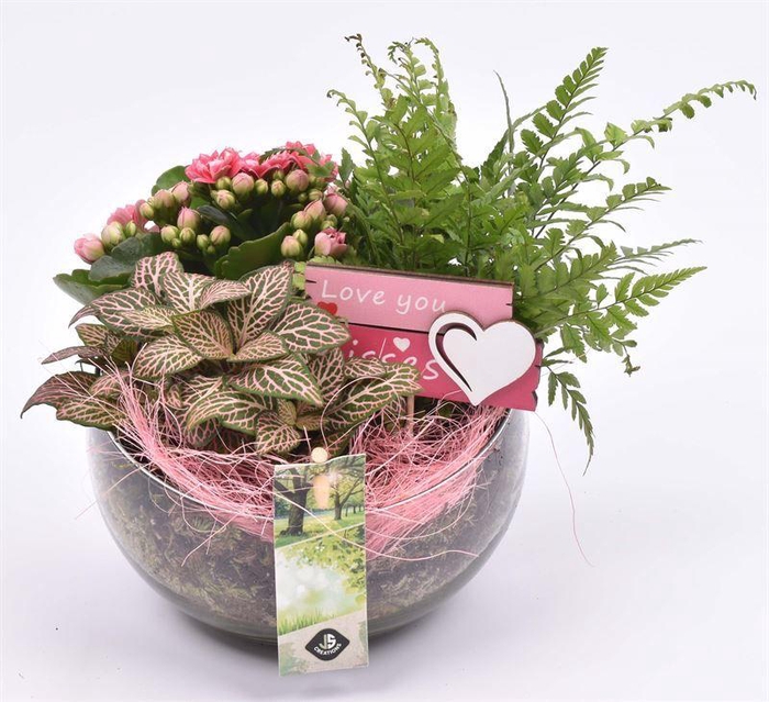 <h4>Glas bol schaal schuine top 15cm</h4>