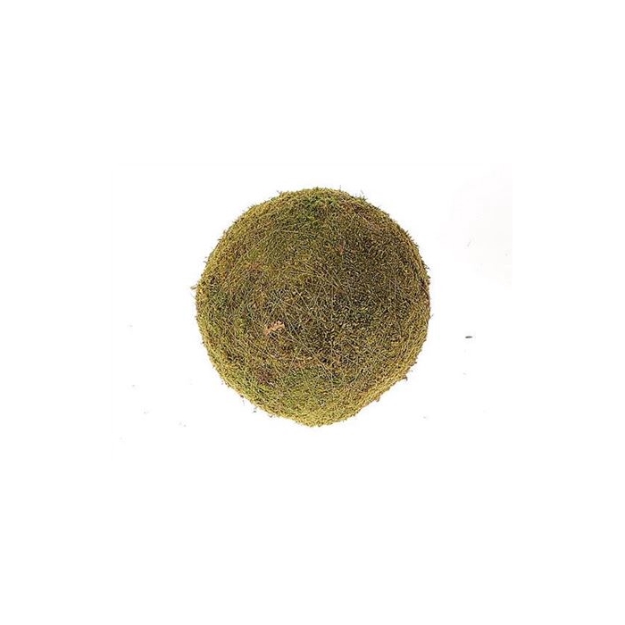 <h4>Ball Flat Moss D50</h4>