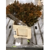 Quercus Rubra sleeve L60 Cerise h%*