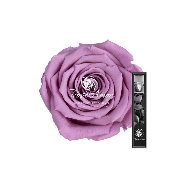 <h4>30cm Stem Vio02</h4>