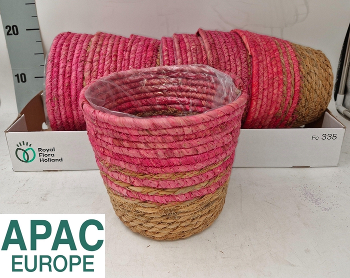 <h4>MANDWERK H%</h4>