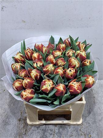 <h4>Tu Du Coventry</h4>