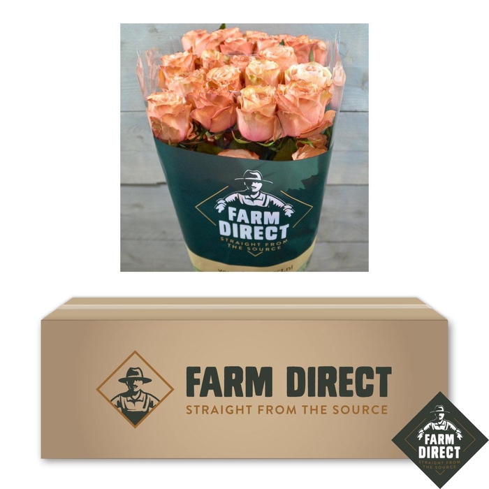 <h4>R GR KAHALA BOX x50</h4>