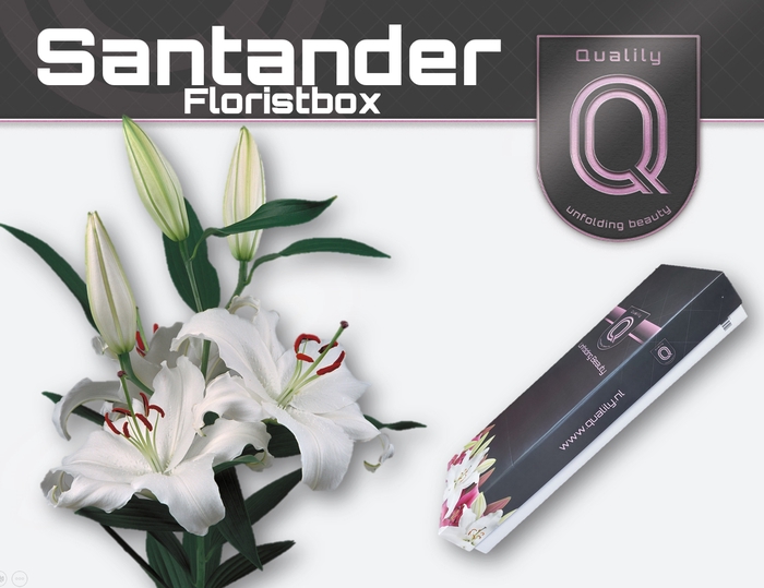 <h4>LI OR SANTANDER FLORISTBOX 5+</h4>