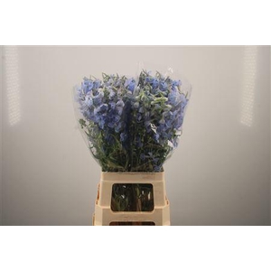 Delph En Ballkleid Pale Blue