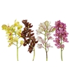 CYMBIDIUM MAX MISTO 5/8 HT MIN 5 FLS