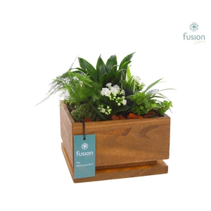 The Lighting Garden LED Large met arrangement