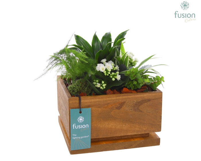 <h4>The Lighting Garden LED Large met arrangement</h4>