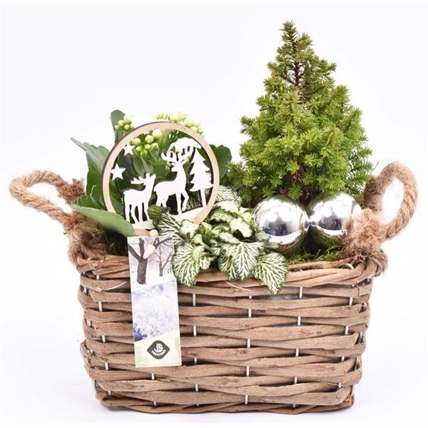 <h4>Wilg rechthoek 20x13.5cm</h4>