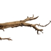 Branch Ghostwood H180