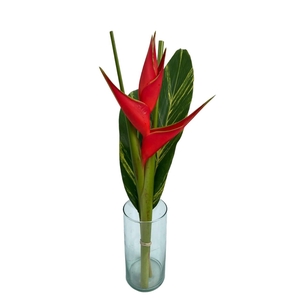 BQ Flat CB Heliconia Regular