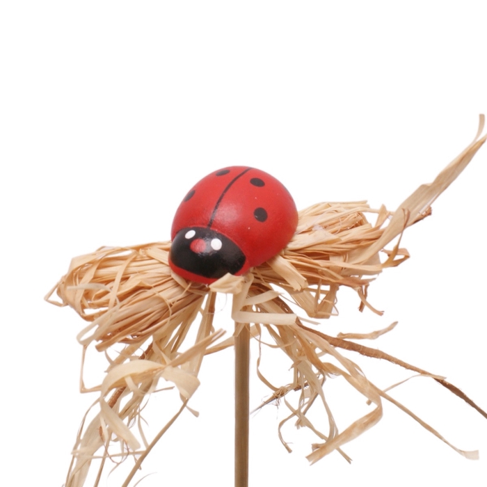 Sticks 10cm Ladybird 3cm