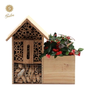 Gaultheria pr. 'Big Berry'® P10 in Insect Hotel