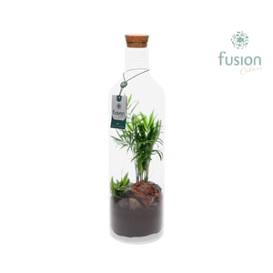 Green BottleLarge met Arrangement