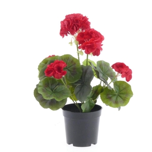 Af Geranium X7 Pot L33cm Red