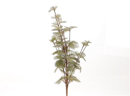 <h4>BRANCH EUCA CINEREA L40W25 green</h4>