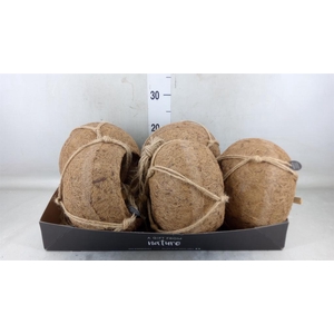 Pot   ...versierd H%