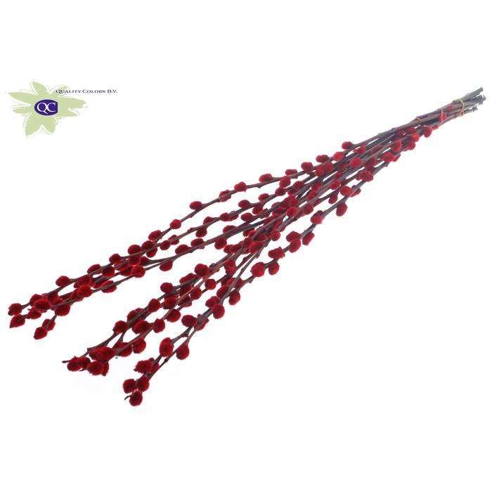 <h4>Pussy Willow 80cm Red</h4>