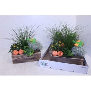ARR TUINPLANTEN
