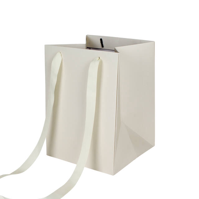 <h4>Bag Elegant carton 18x18xH25cm cream 20/bag</h4>