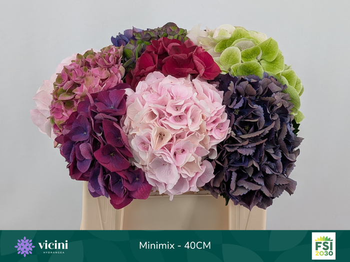 <h4>Hydr Mini Mix 40 cm Vicini</h4>