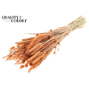 Dried Flower mix bunch Frosted Salmon