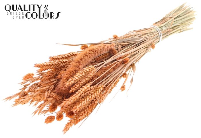 <h4>Dried Flower mix bunch Frosted Salmon</h4>