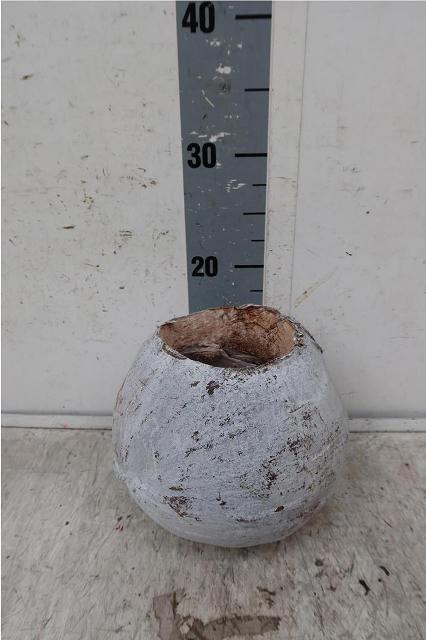 <h4>Kokosnoot Pot</h4>