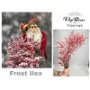 ILEX FROST 80 cm