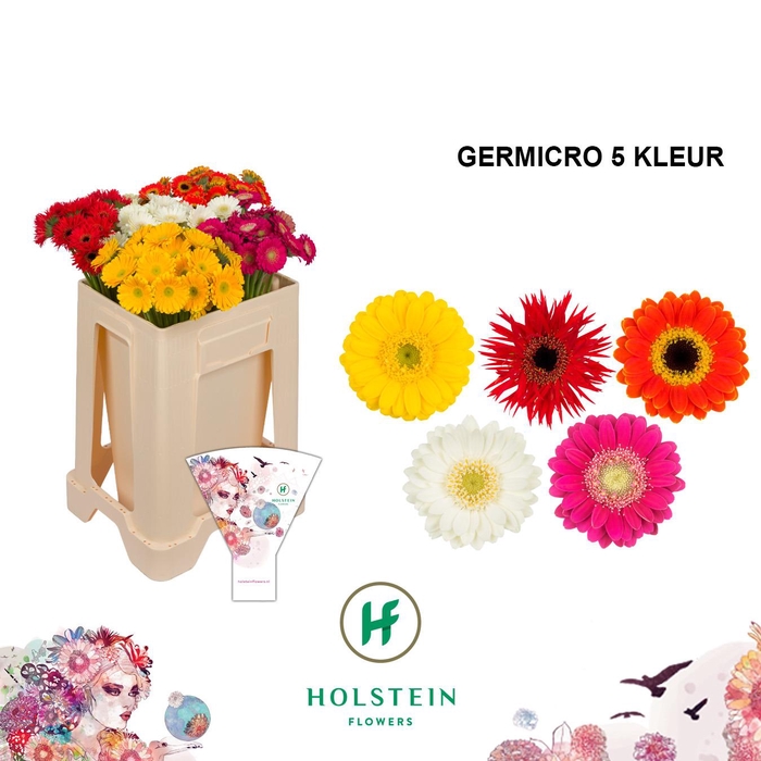 <h4>Nano Mix op kleur</h4>