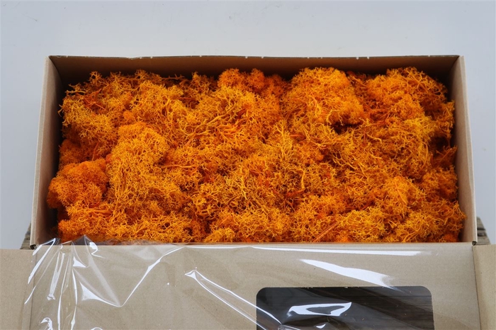 <h4>Moss Reindeer Moss 500gr Orange</h4>