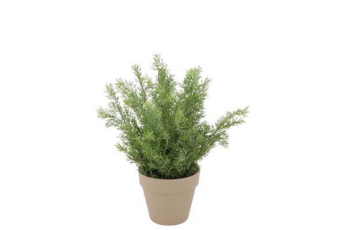 Silk Cypress Green In Pot Terra S 18x18x21cm