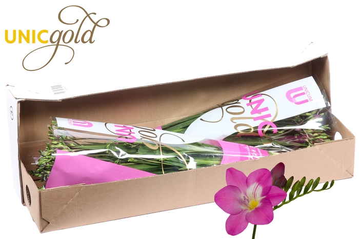 <h4>UG Barendse - Costa box</h4>