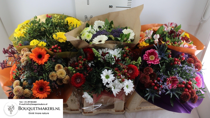 <h4>GEM BOEKET OV</h4>