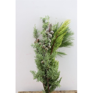 Bqt Kerstgroen Deluxe 55 Cm Pbs
