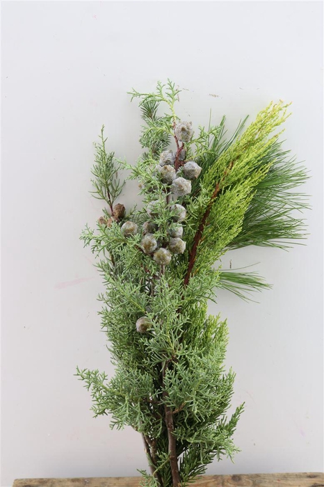 <h4>Bqt Kerstgroen Deluxe 55 Cm Pbs</h4>