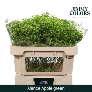 Gyps Xlence l70 Apple Green