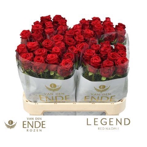 R GR RED NAOMI LEGEND 80cm