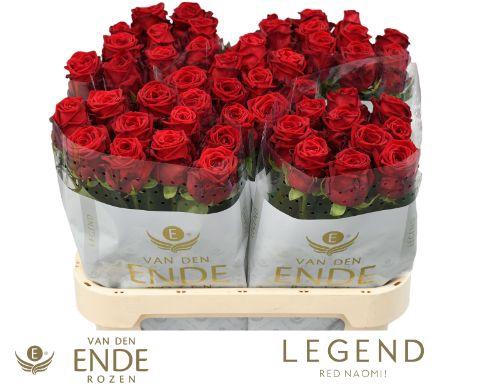 <h4>R GR RED NAOMI LEGEND 80cm</h4>